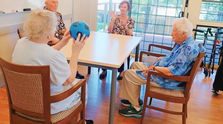 aged care residents seated ball game