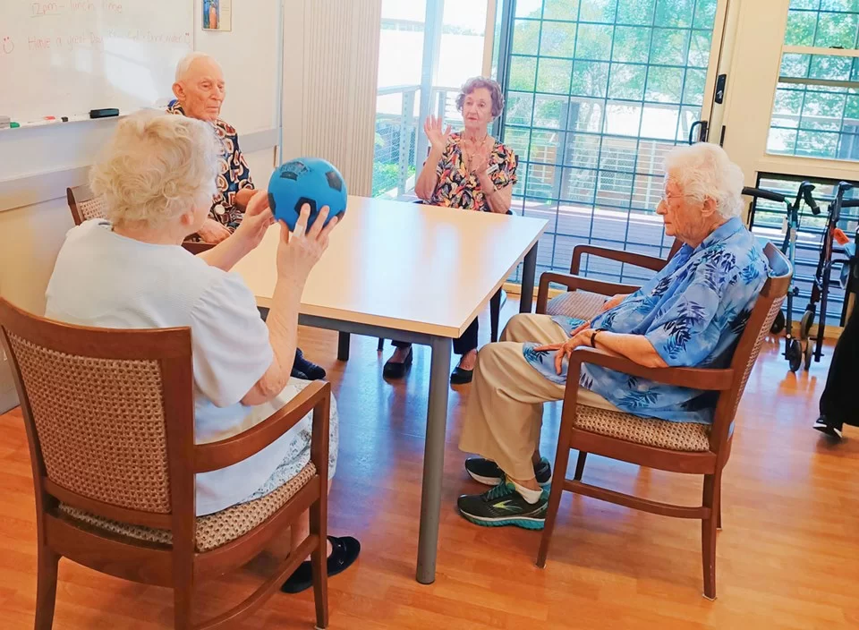 aged care residents seated ball game